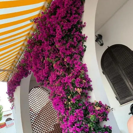 Apartment Paoli Casavacanza Liguria Ceriale